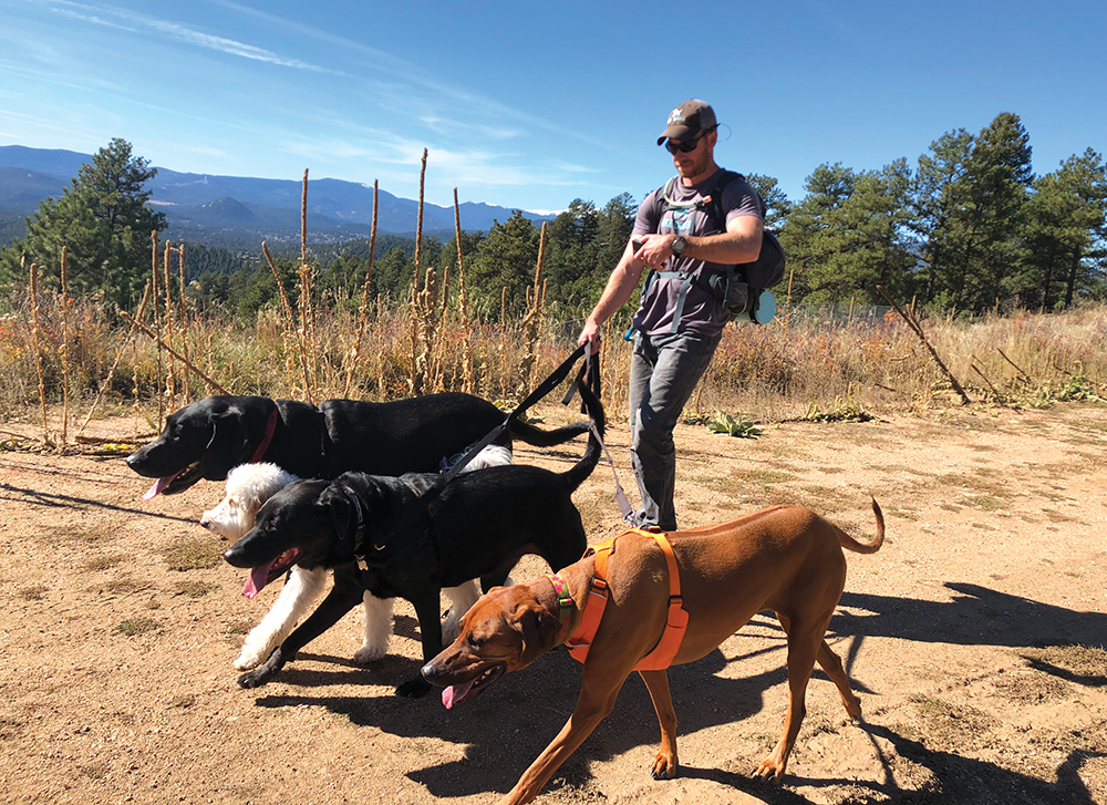 Hike Doggie